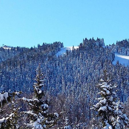 Tes Rila Park Apartments Borovets Ngoại thất bức ảnh