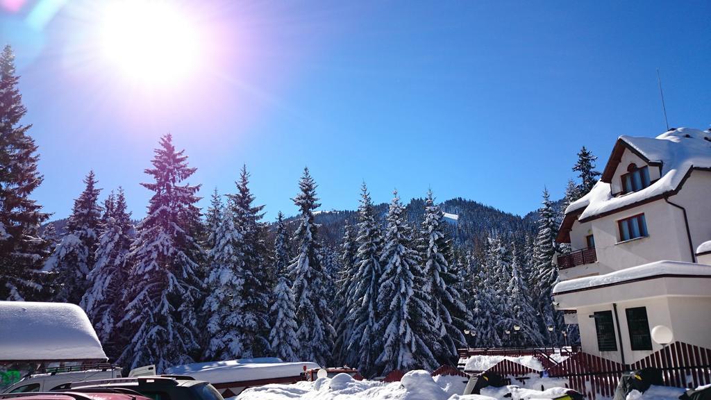 Tes Rila Park Apartments Borovets Ngoại thất bức ảnh