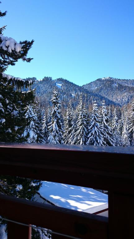 Tes Rila Park Apartments Borovets Phòng bức ảnh
