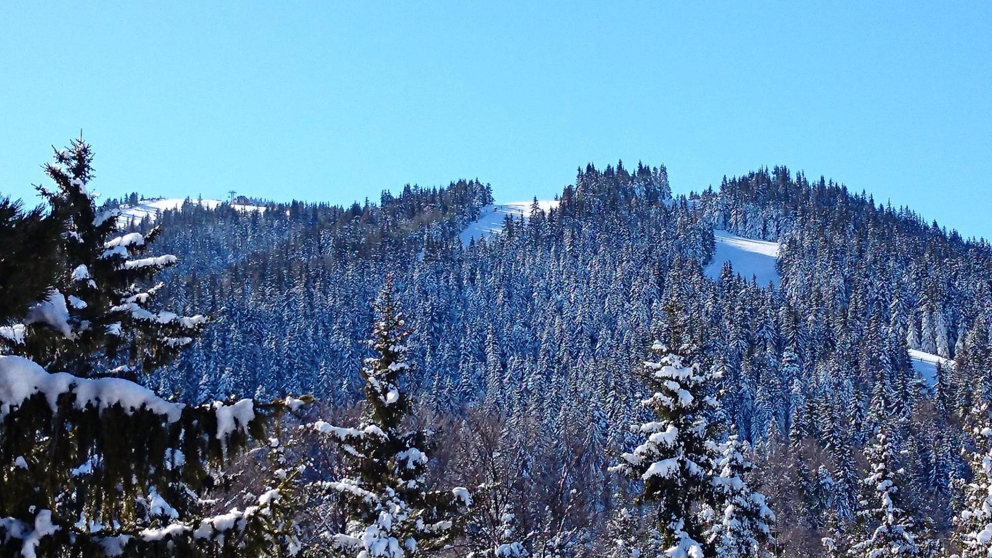 Tes Rila Park Apartments Borovets Ngoại thất bức ảnh