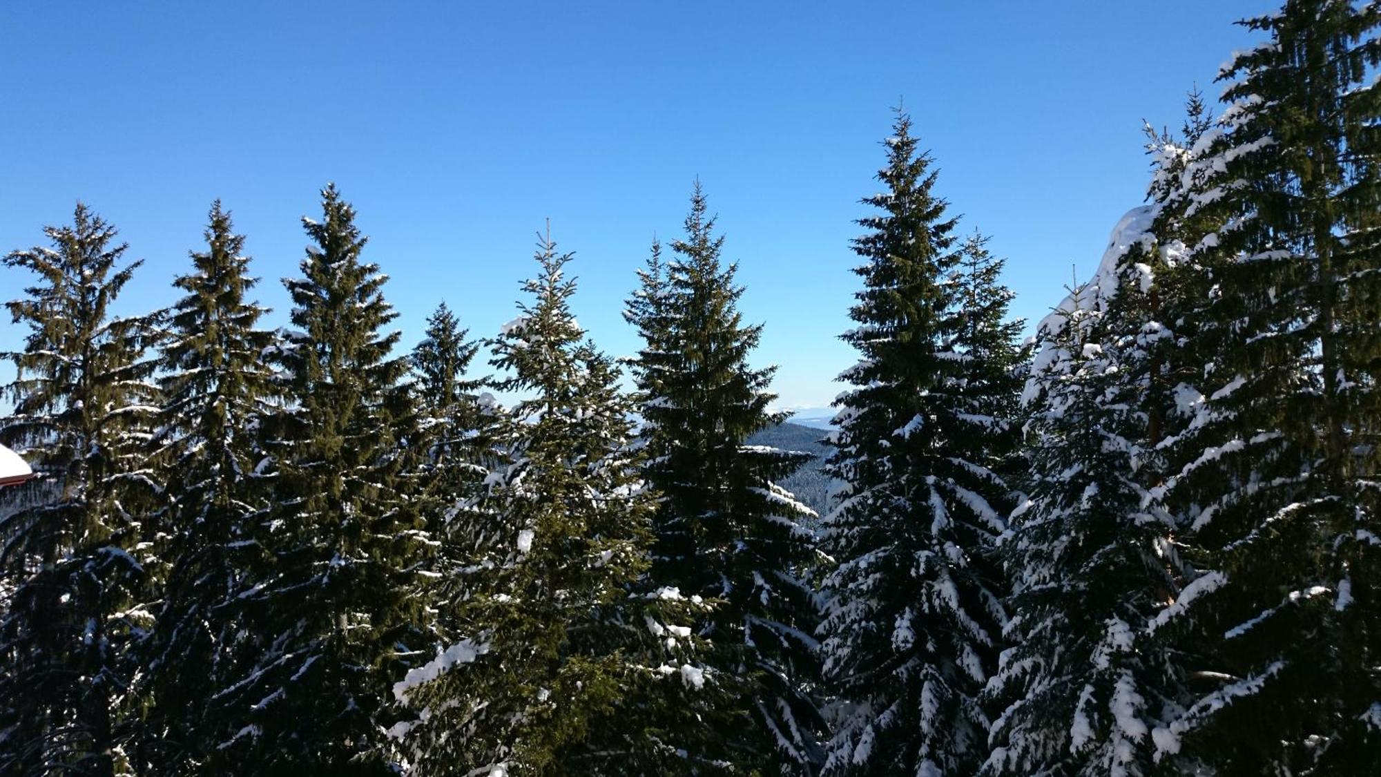 Tes Rila Park Apartments Borovets Ngoại thất bức ảnh